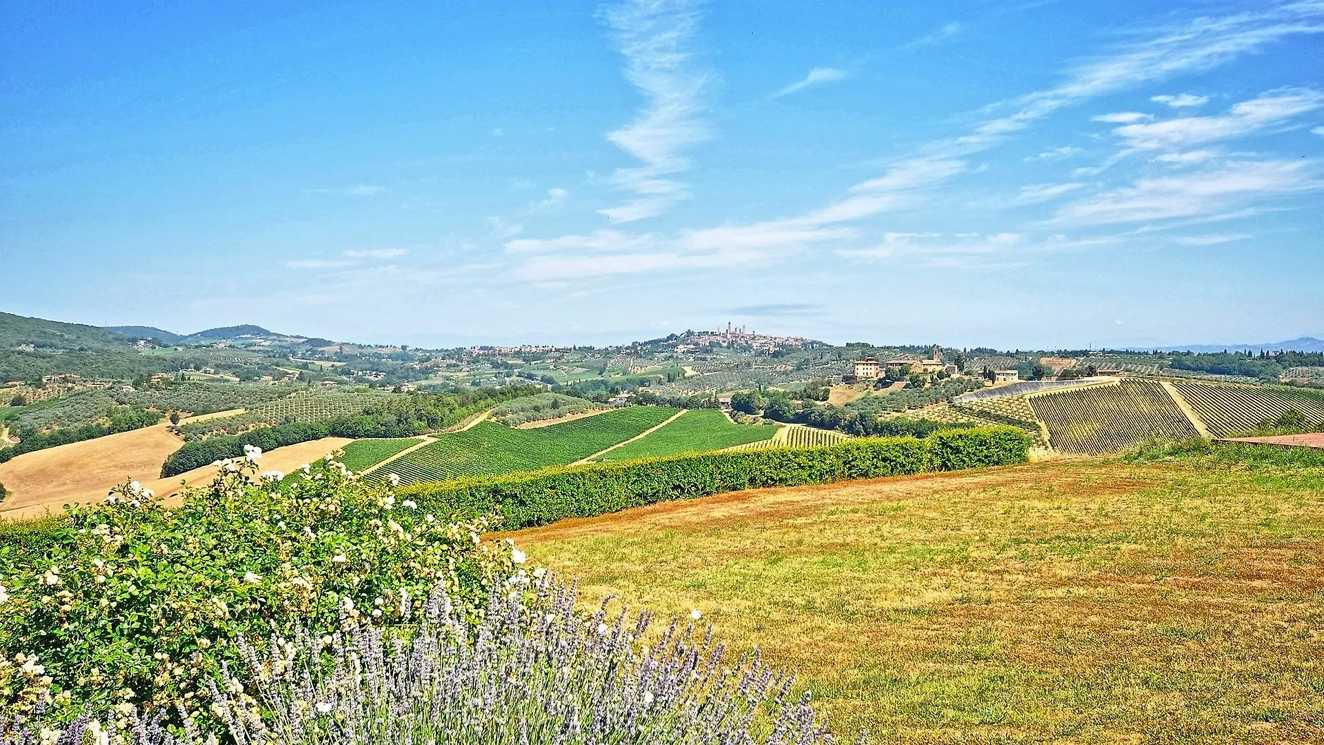 Apartment Vittoriana Near San Gimignano By Posarellivillas Italy